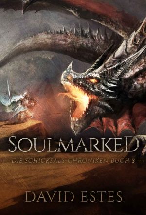 [Schicksals Chroniken 03] • Soulmarked